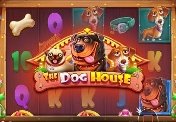 Игра The Dog House в Shuffle казино